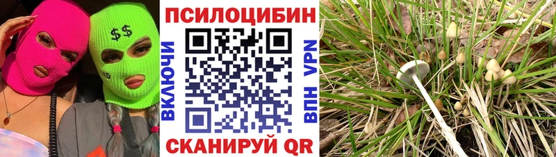 Псилоцибиновые грибы GOLDEN TEACHER  hydra ONION  Черепаново 
